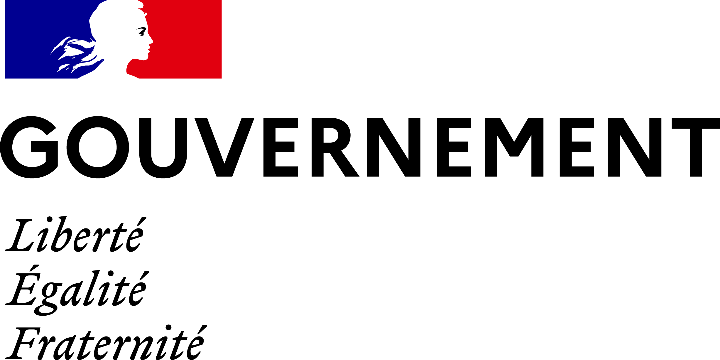 Logo de l'Etat français